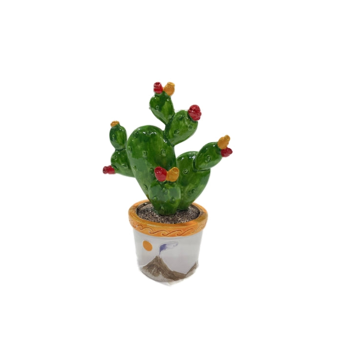 Lixiang - Pianta Fico D'India - 106152