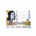 Pigna - Abum da Disegno - Raffaello - 24x33cm - Ruvido | 10 Fogli - 90g/m²